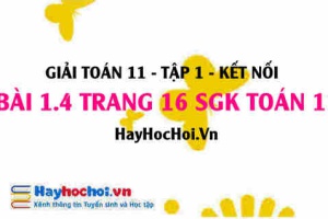 Giải bài 1.4 trang 16 Toán 11 tập 1 SGK Kết nối tri thức